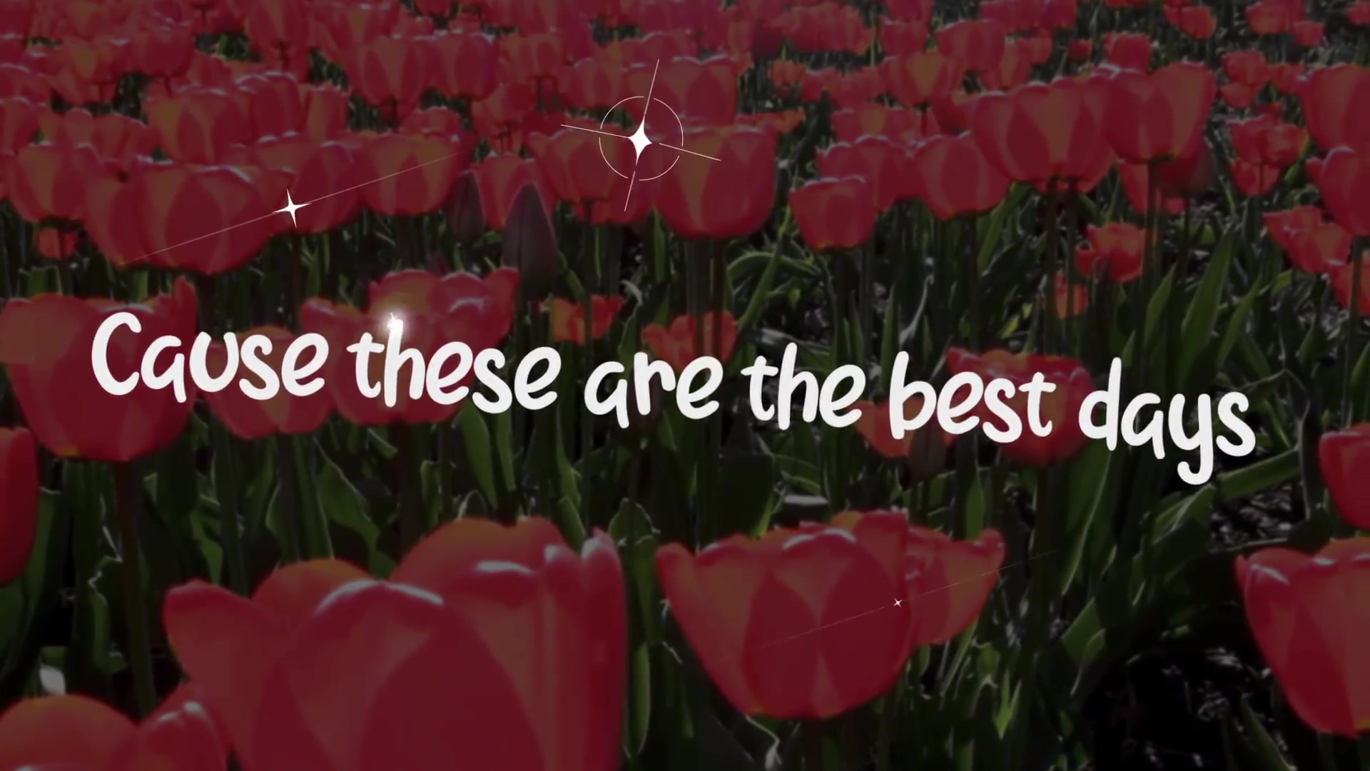 Lyric Elements and Scenes | After Effects Videohive 26541334 After Effects Image 8