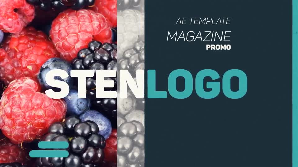 Magazine Promo - Download Videohive 14845400