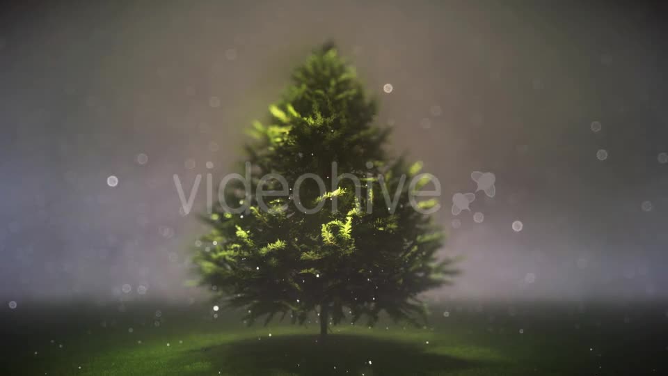 Magic and Dreamy Christmas Tree - Download Videohive 13359293