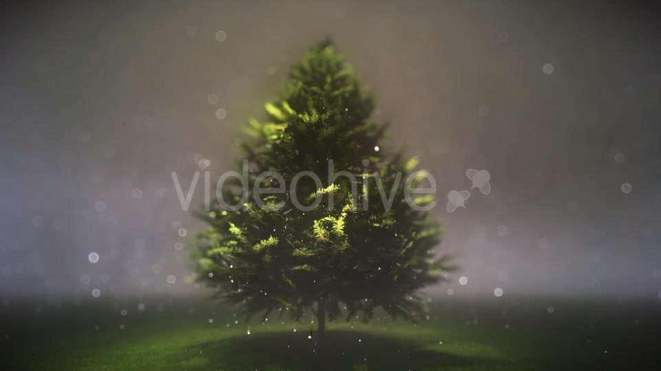 Magic and Dreamy Christmas Tree - Download Videohive 13359293