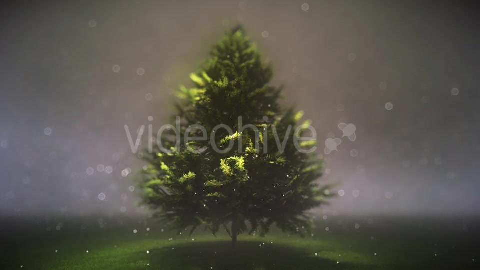 Magic and Dreamy Christmas Tree - Download Videohive 13359293