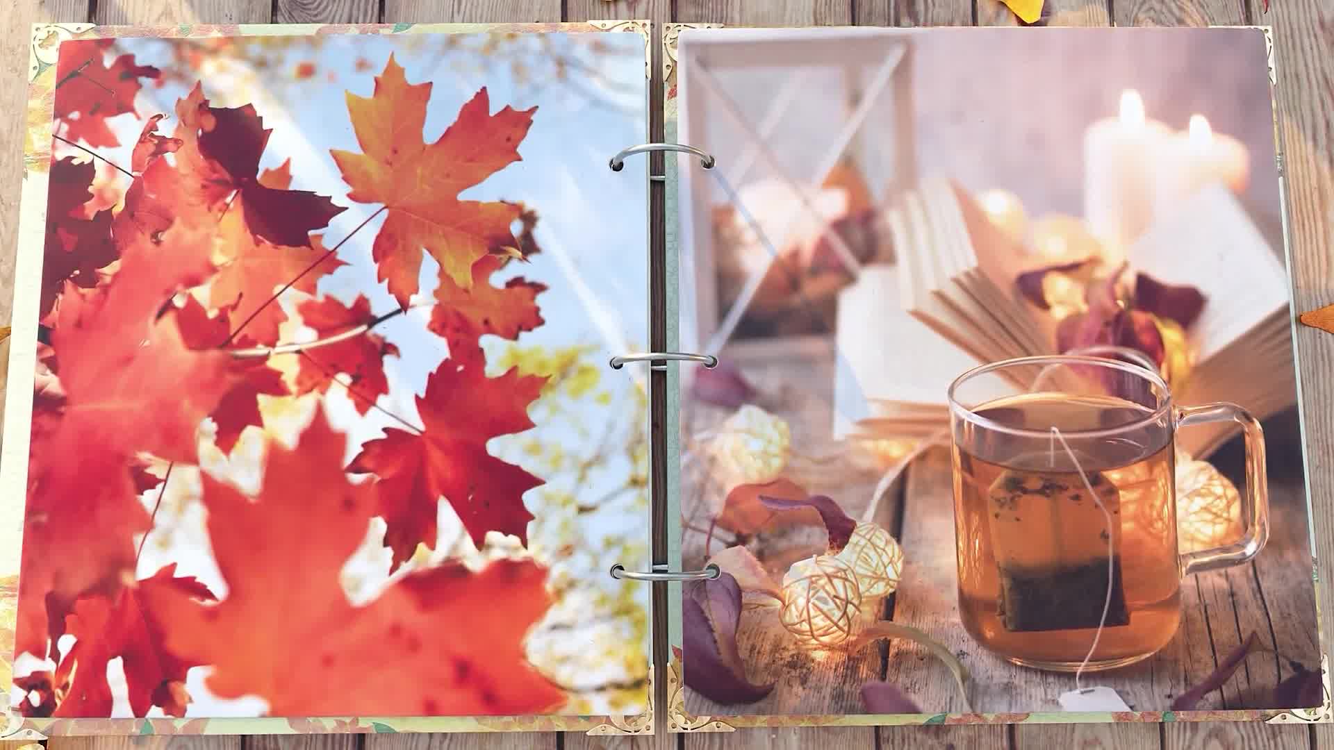 Magic Autumn Slideshow Videohive 48098622 After Effects Image 10