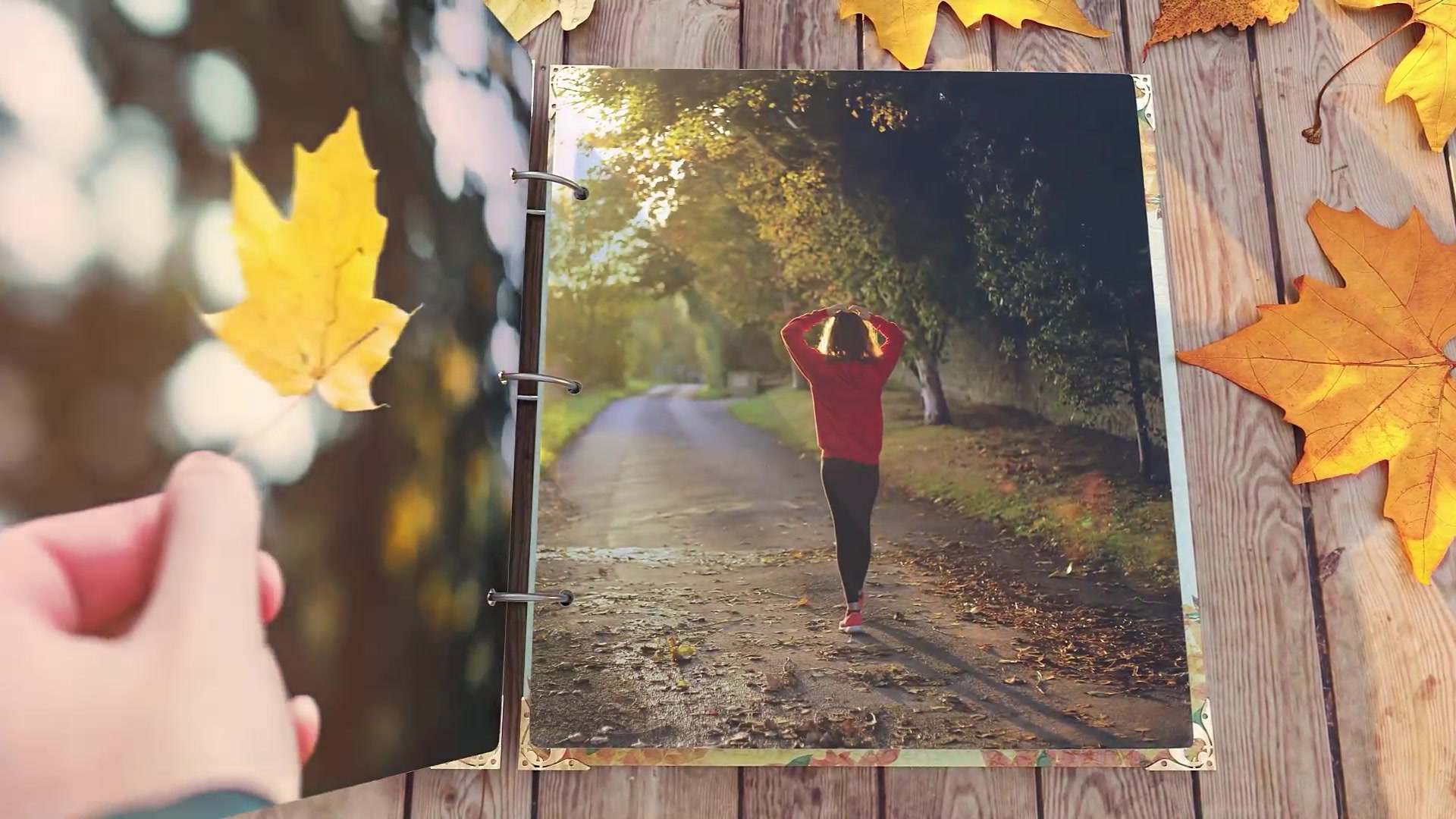 Magic Autumn Slideshow Videohive 48098622 After Effects Image 3