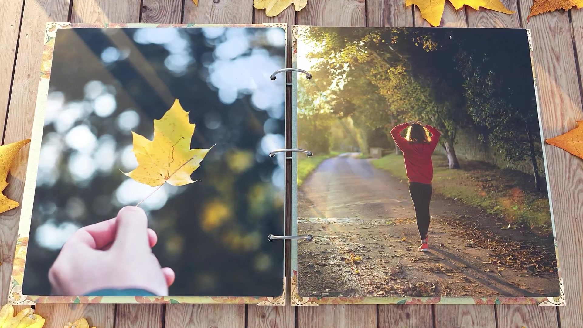 Magic Autumn Slideshow Videohive 48098622 After Effects Image 4
