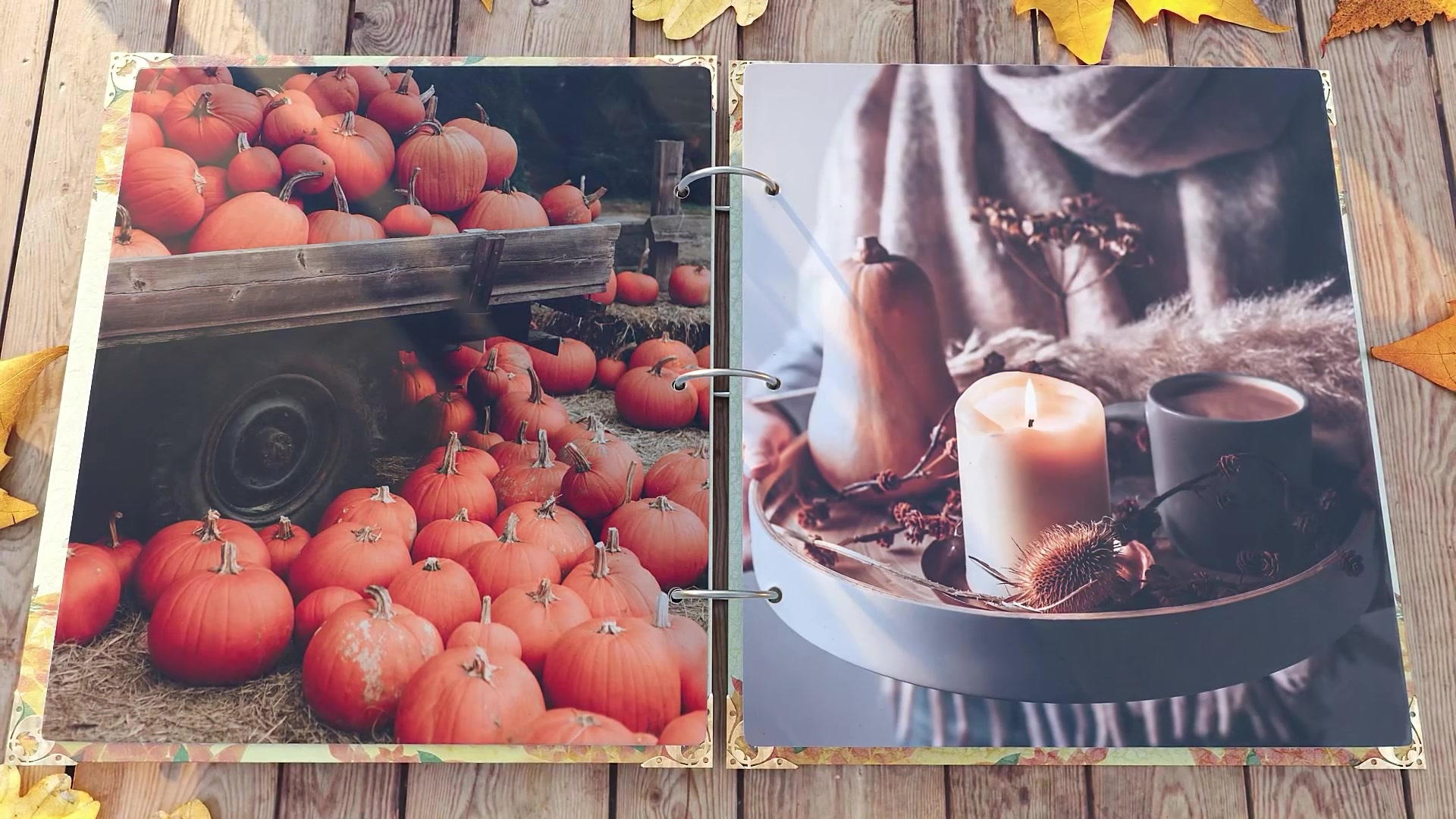 Magic Autumn Slideshow Videohive 48098622 After Effects Image 6