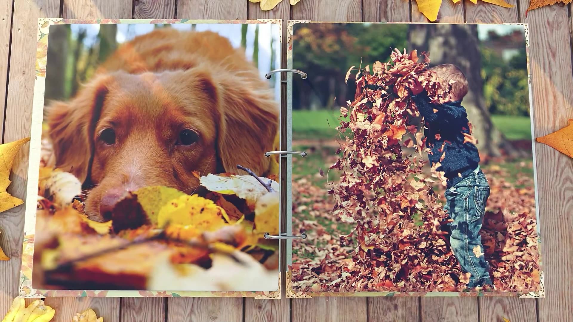 Magic Autumn Slideshow Videohive 48098622 After Effects Image 7