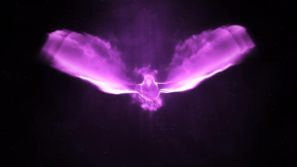 Magic Bird Logo Intro Videohive 24282156 After Effects Image 5