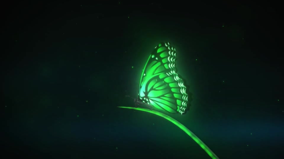 Magic Butterfly Reveal - Download Videohive 6559492