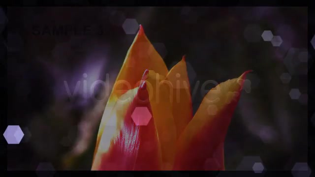 Magic Crystal Videohive 243093 Motion Graphics Image 10