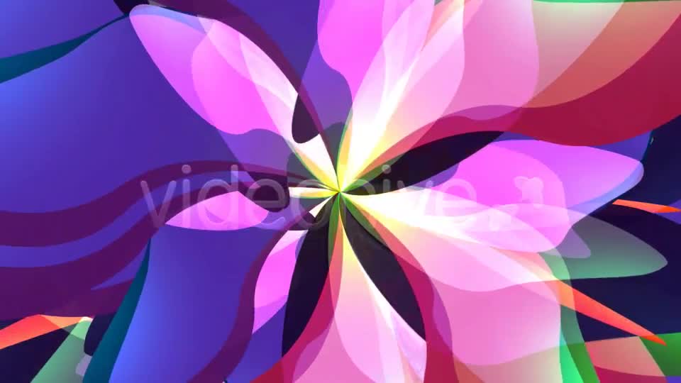 Magic Flower Loop Videohive 2802457 Motion Graphics Image 1