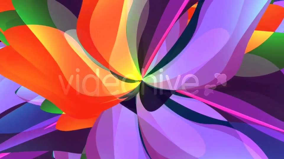 Magic Flower Loop Videohive 2802457 Motion Graphics Image 2