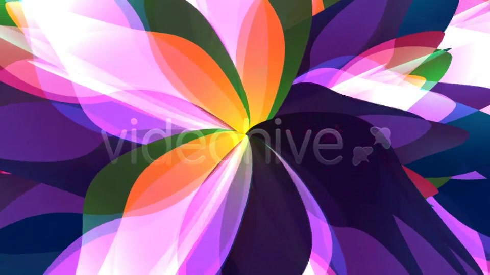 Magic Flower Loop Videohive 2802457 Motion Graphics Image 4