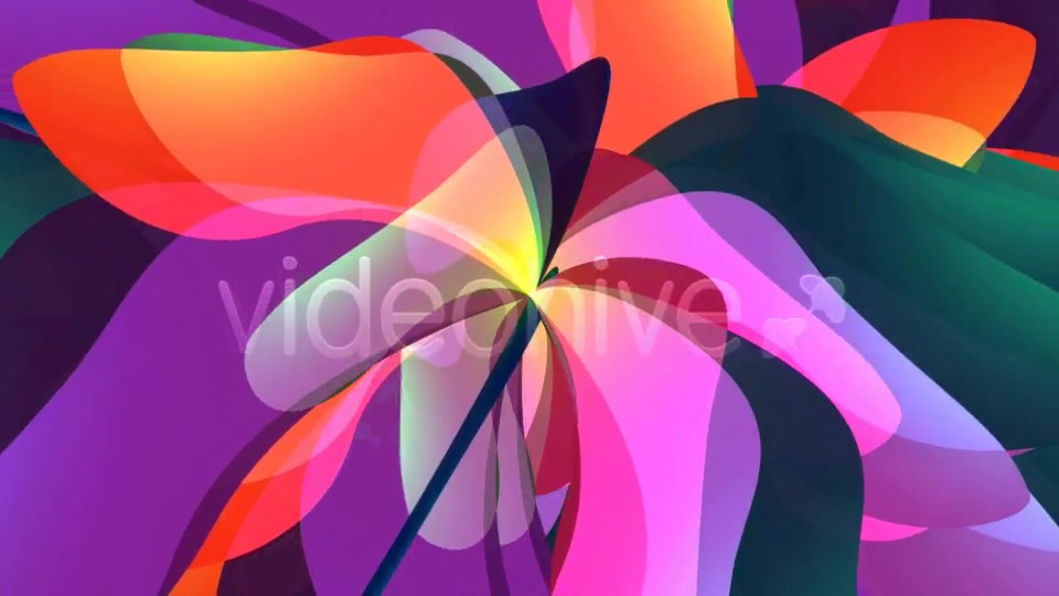 Magic Flower Loop Videohive 2802457 Motion Graphics Image 5