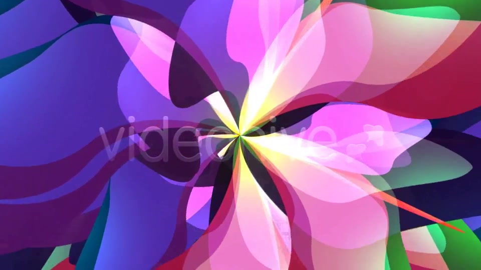 Magic Flower Loop Videohive 2802457 Motion Graphics Image 6