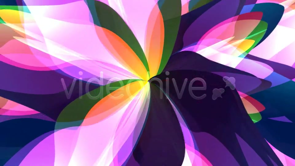 Magic Flower Loop Videohive 2802457 Motion Graphics Image 9