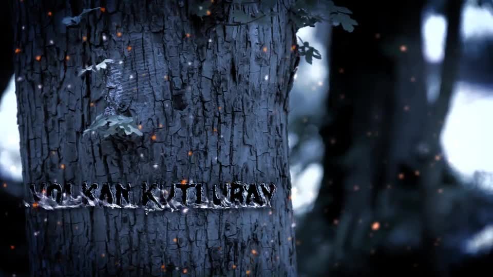 Magic Forest Opening Titles - Download Videohive 5536607