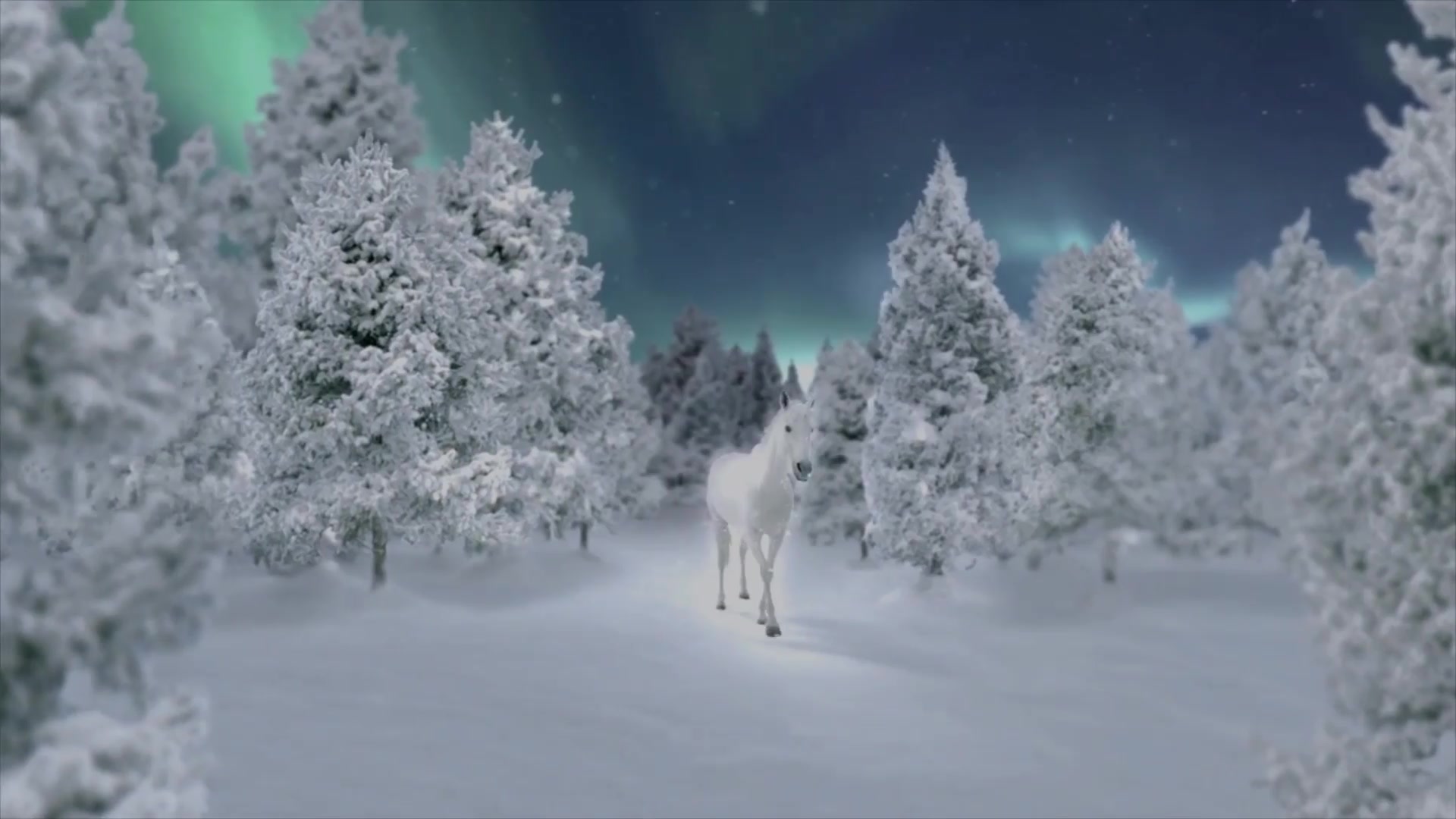 Magic Snow Elements | After Effects Videohive 29656728 After Effects Image 4