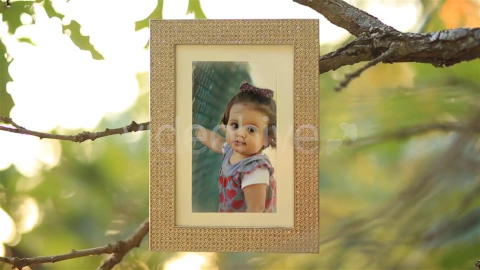 Magic Tree Photo Slideshow - Download Videohive 5519752