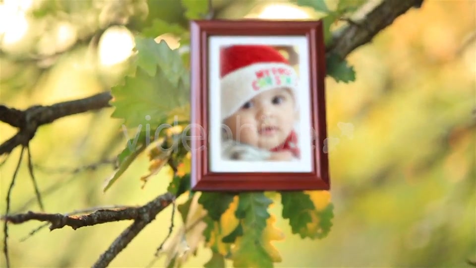 Magic Tree Photo Slideshow - Download Videohive 5519752