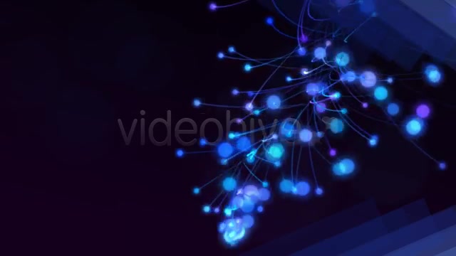 Magical Flower Videohive 2755278 After Effects Image 8