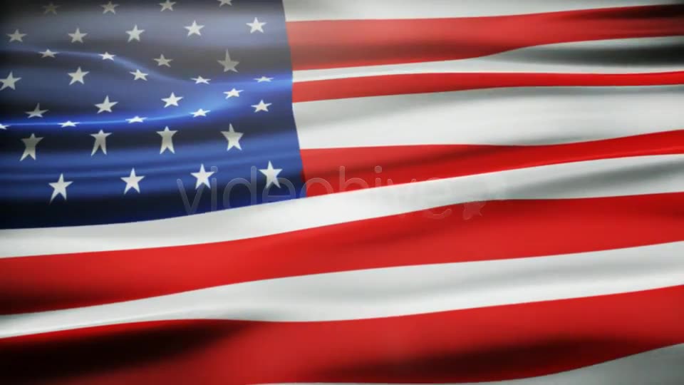 Make Your Flag - Download Videohive 3967186