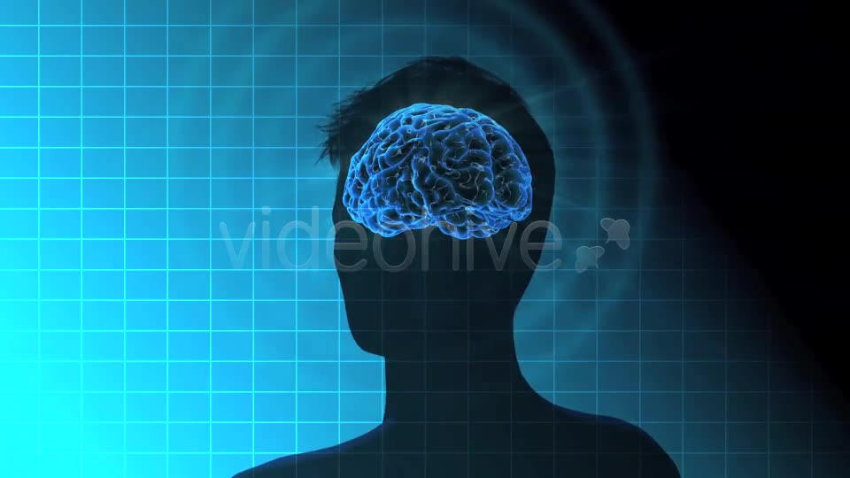 Male Brain Activity - Download Videohive 7764923