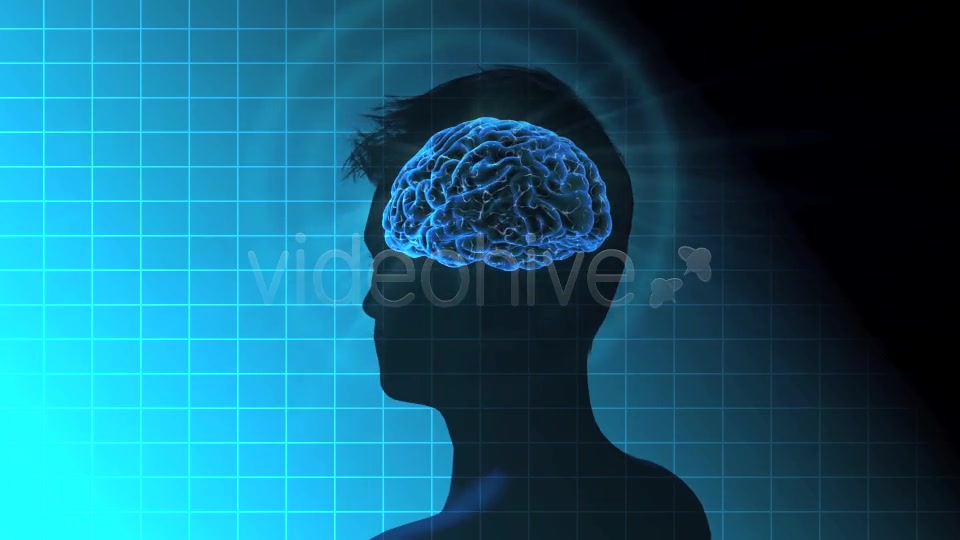 Male Brain Activity - Download Videohive 7764923