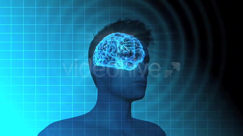 Male Brain Activity - Download Videohive 7764923