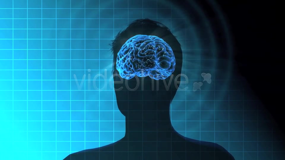 Male Brain Activity - Download Videohive 7764923