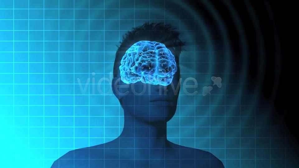 Male Brain Activity - Download Videohive 7764923