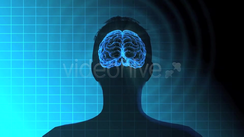 Male Brain Activity - Download Videohive 7764923