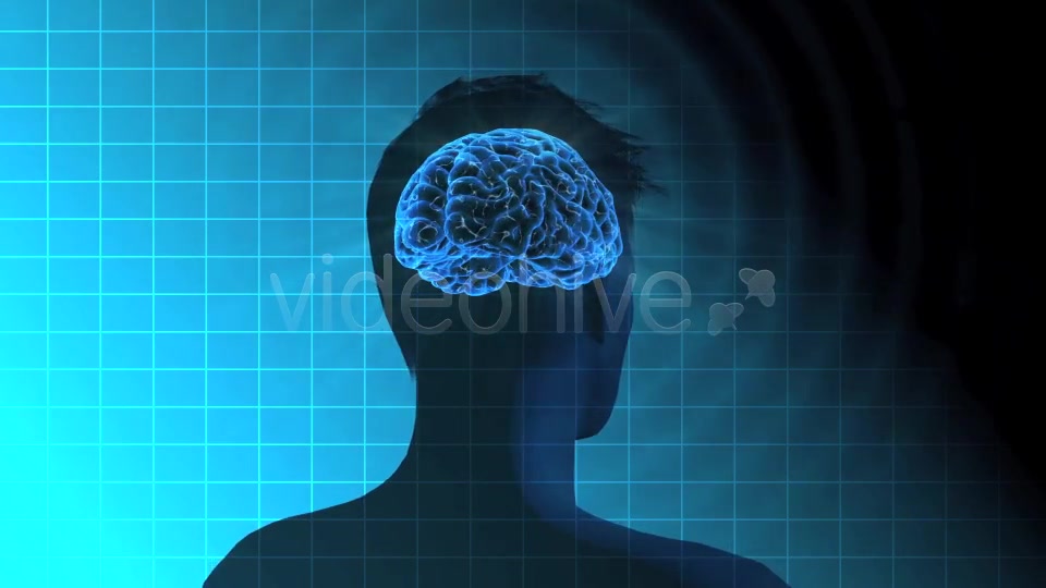 Male Brain Activity - Download Videohive 7764923