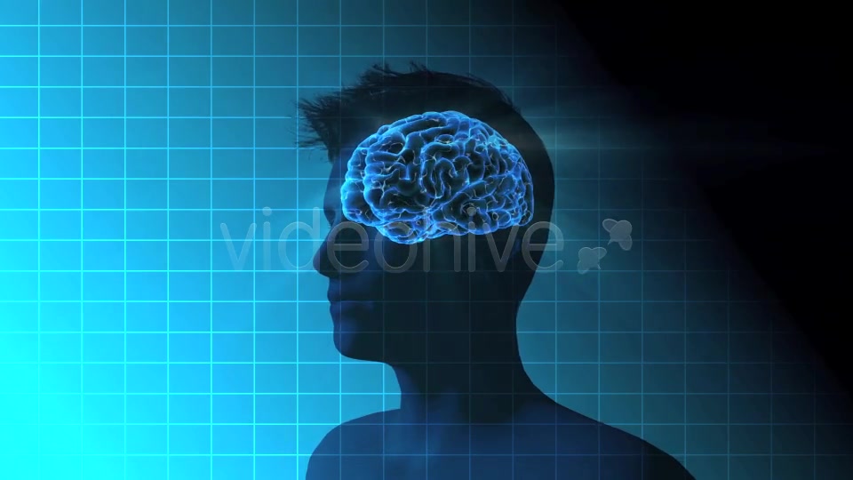 Male Brain Activity - Download Videohive 7764923