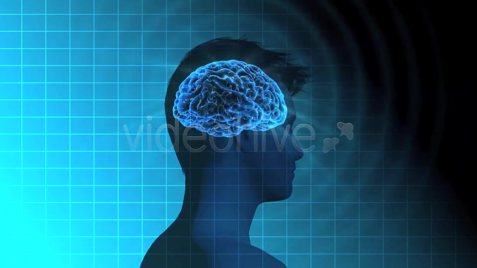 Male Brain Activity - Download Videohive 7764923