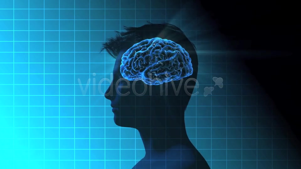 Male Brain Activity - Download Videohive 7764923