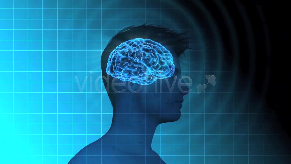 Male Brain Activity - Download Videohive 7764923