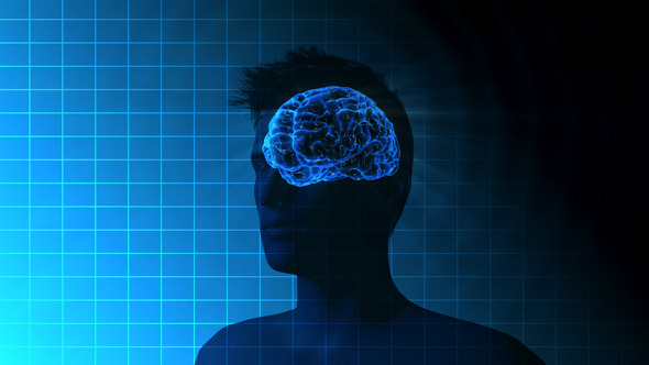 Male Brain Activity - Download Videohive 7764923