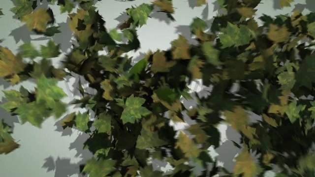 Maple Leaves Ident - Download Videohive 5308232