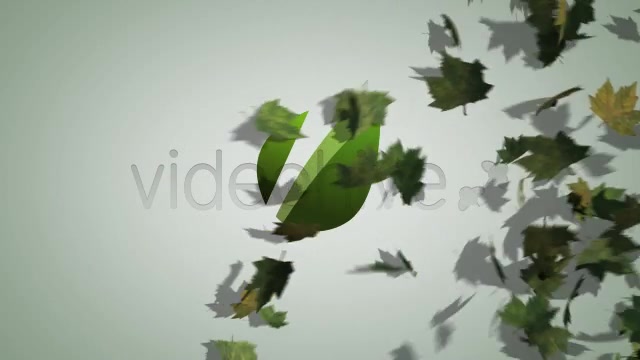 Maple Leaves Ident - Download Videohive 5308232