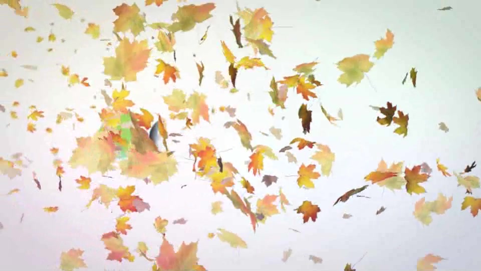 Maple Leaves Logo Reveal Videohive 9572555 After Effects Image 4