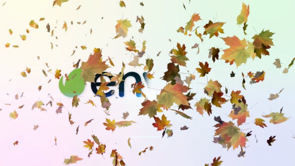 Maple Leaves Logo Reveal - Download 9572555 Videohive