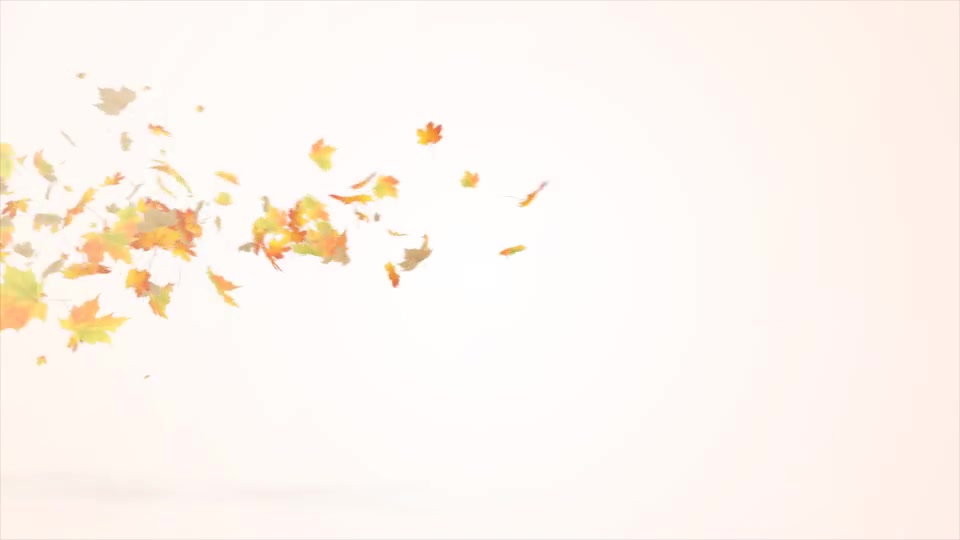 Maple Logo Reveal V2 Videohive 12072636 After Effects Image 2