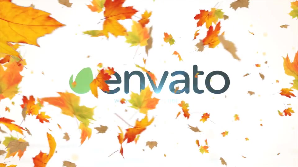 Maple Logo Reveal V2 Videohive 12072636 After Effects Image 7