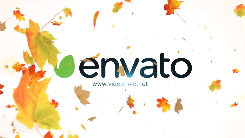 Maple Logo Reveal V2 Videohive 12072636 After Effects Image 8