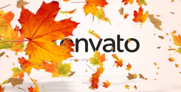 Maple Logo Reveal V2 - Download Videohive 12072636