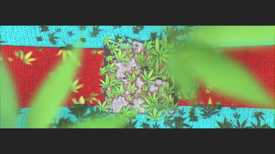 Marijuana Logo Videohive 15716430 After Effects Image 7