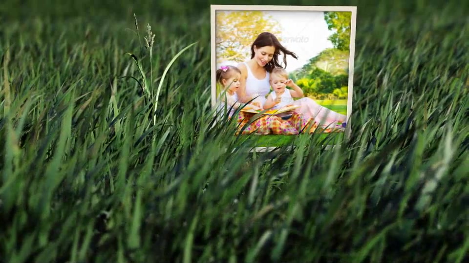 Meadow - Download Videohive 6702113