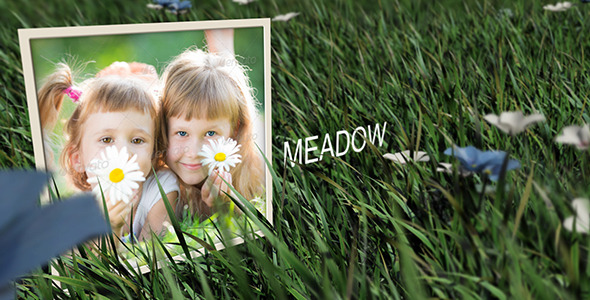 Meadow - Download Videohive 6702113