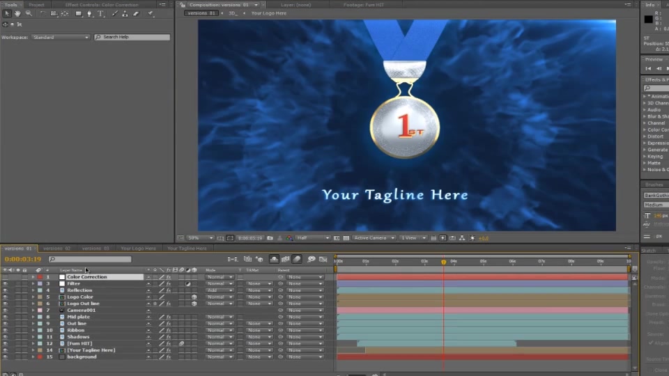 Medal Revealers - Download Videohive 6586997