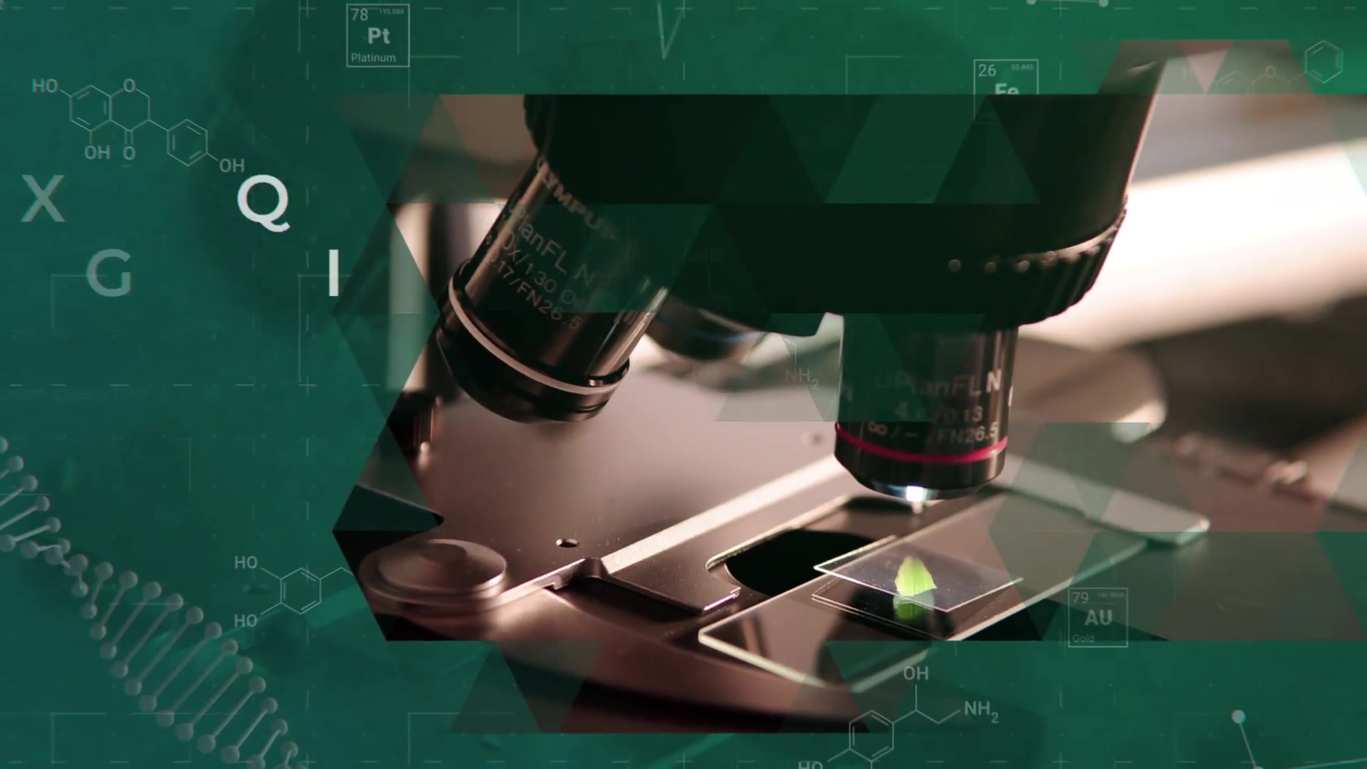 Medical Biology Opener Videohive 33424153 After Effects Image 9